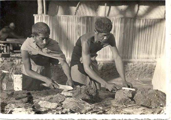 Португал Тиморында тәмәке ясаучы ир-атлар,1930 - 1939 еллар тирәсе, wikimedia