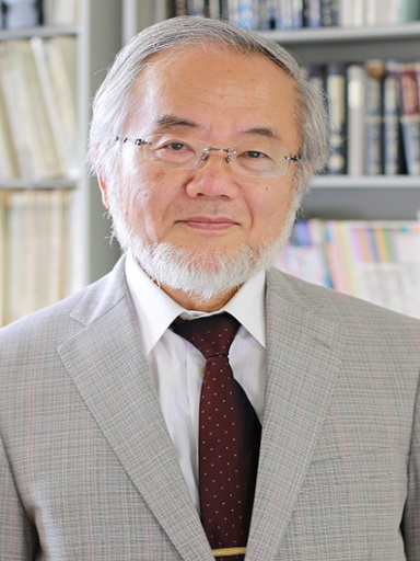 Йосинори Осуми © wikimedia